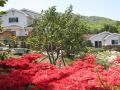 forest-love-a-pension-yeosu