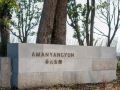 amanyangyun