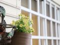 taipei-101-nestel-guesthouse