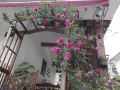 jiuyueji-guesthouse