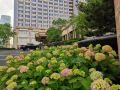 shangri-la-hotel-qingdao