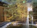 stay-sakura-kyoto-suzaku-oji
