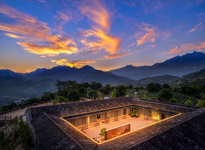 安溪雲嶺茶莊園