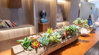 suzhou-pusu-hotel-guanqian-street-humble-administrator-s-garden-branch