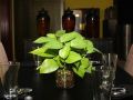 midan-hotel-suites