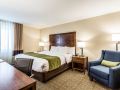 comfort-inn-and-suites-albuquerque-downtown