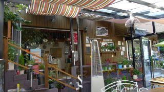 the-house-hostel
