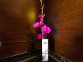 tangcheng-boda-carrey-international-hotel