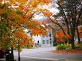 pension-puutaro