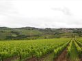 podere-il-poggiolo