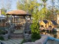 oasis-in-forest
