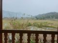 thao-ly-homestay-hostel