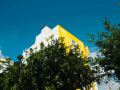 x-by-bloom-hebbal