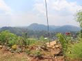 lawan-one-kandy