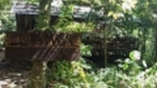 lupa-masa-jungle-camp