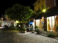 hotel-de-savoie