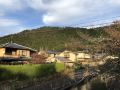 kinkaku