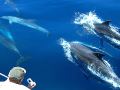 kaani-beach-hotel-maldives