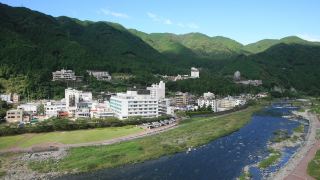 ogawaya
