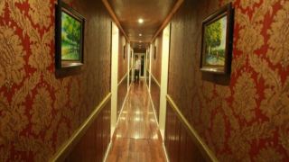 white-dolphin-charter-cruise