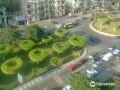 triumph-plaza-hotel