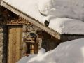 le-chalet-zannier