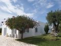 masseria-don-luigi-luxury-farmhouse