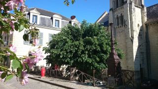 nature-and-chateaux