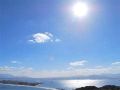 hamakoya