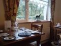 corrib-view-guesthouse