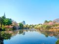 the-okura-tokyo