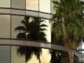 the-westshore-grand-a-tribute-portfolio-hotel-tampa