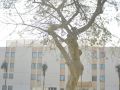 novotel-cairo-airport