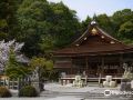 ryokan-sumiya-kihoan
