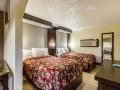 rodeway-inn-and-suites-houston-medical-center
