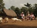 sheridan-organic-farm-and-eco-village-palawan