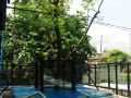 the-art-hostel-bangkok