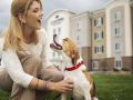 candlewood-suites-nashville-metro-center-an-ihg-hotel