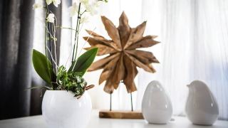 an-der-rauschen-apartments-ferienzimmer-and-kunst