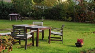 modern-apartment-in-an-idyllic-location-in-the-spreewald