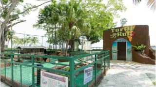 glory-beach-resort-private-apartment