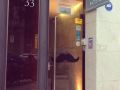 don-moustache-boutique-hostel