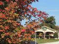 the-guest-lodge-gainesville