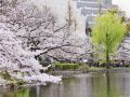 centurion-hotel-and-spa-ueno-station