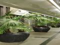 the-mandala-suites