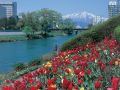 hotel-pearl-city-morioka