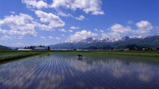 furano-natulux-hotel