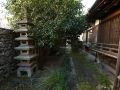 in-bloom-beppu