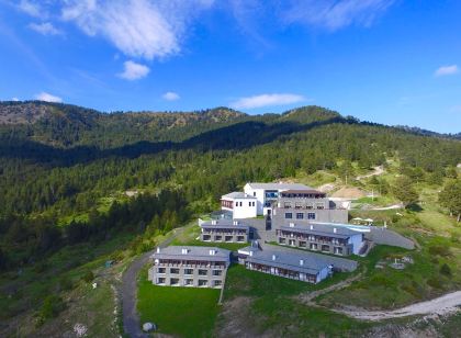Grand Forest Metsovo - Leading Hotels of the World
