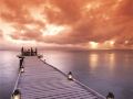 jean-michel-cousteau-resort-fiji